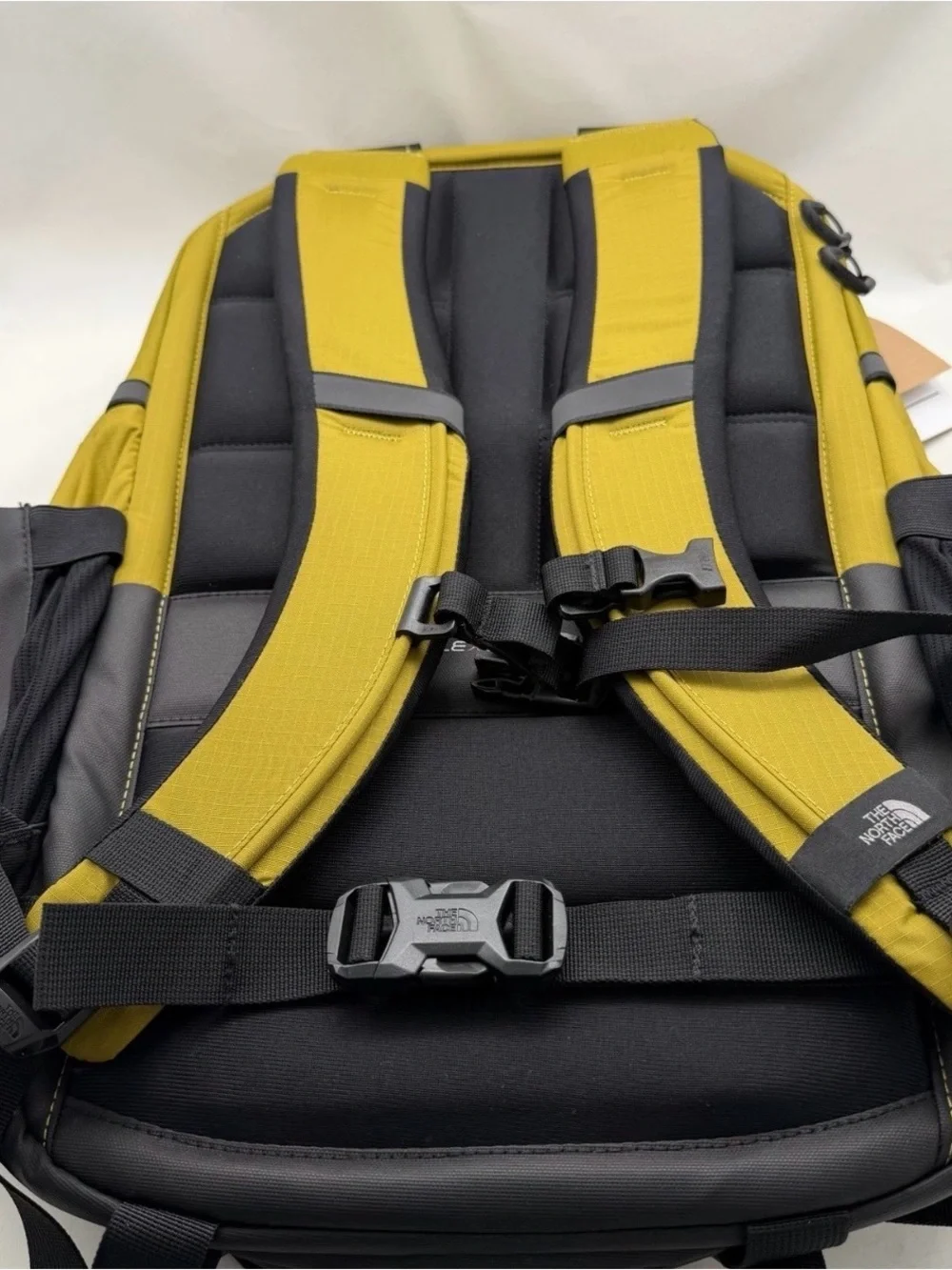 The North Face new